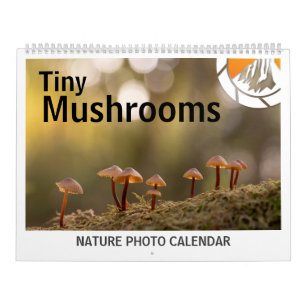 Calendario Fotos de champiñones en la naturaleza 2027