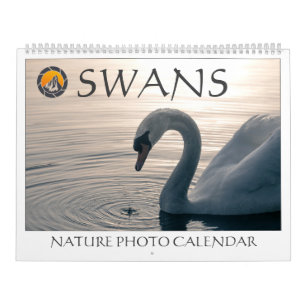Calendario Fotos de cisnes en su hábitat natural 2027
