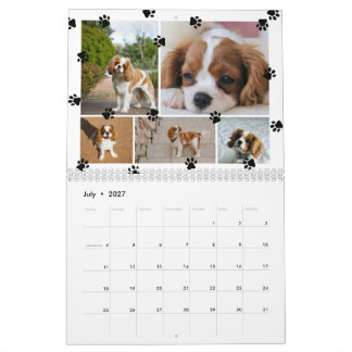 Calendario Fotos de Collage de Huellas de Patas Adorables de