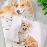 Calendario Fotos de Corgi Dogs modernos y graciosos<br><div class="desc">El diseño está compuesto por fotos de perros adorables Corgi</div>