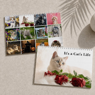 Calendario Fotos de gatos adorables Es la vida de un gato