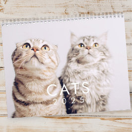 Calendario Fotos de gatos de un Mascota kitten moderno y grac