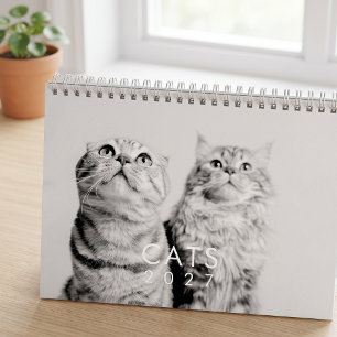 Calendario Fotos de gatos divertidos y lindos gatitos moderno