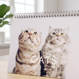 Calendario Fotos de gatos divertidos y lindos gatitos moderno