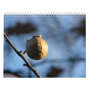 Calendario Fotos de la naturaleza