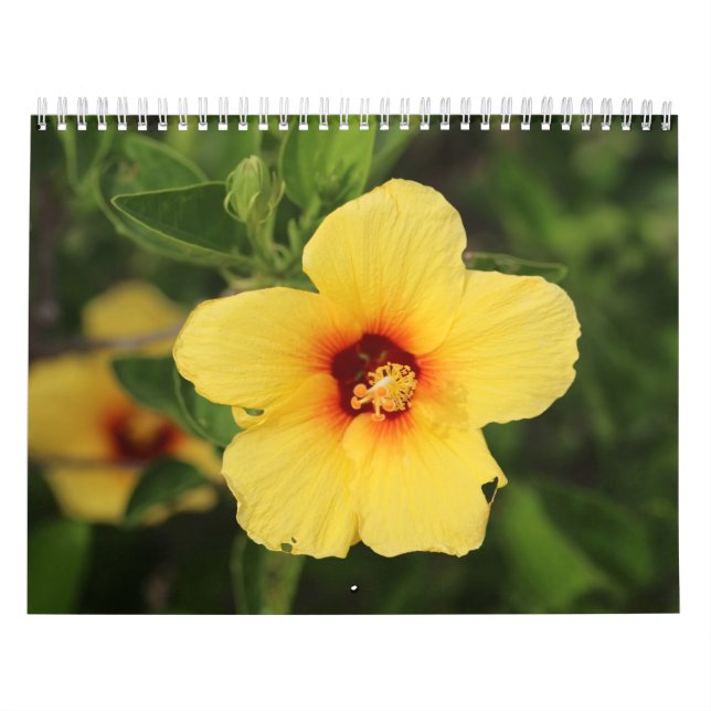 Calendario Fotos de la naturaleza de Kaui (Tapa)