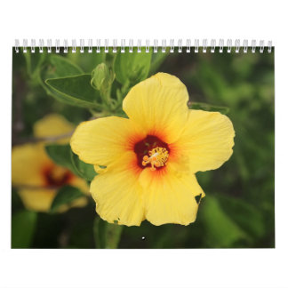 Calendario Fotos de la naturaleza de Kaui