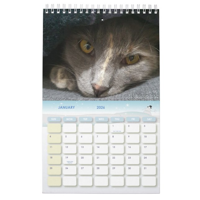 Calendario fotos de lindos gatos grises de 2025 (Jan 2026)