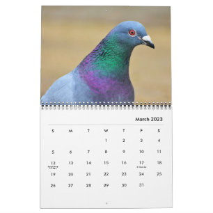 Calendario Fotos de Palomas de la Paz Aves Elegantes y Bonita