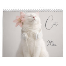 Fotos divertidas de gatos modernos y lindos