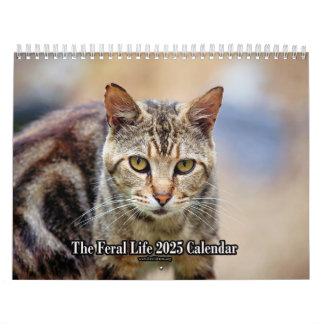 Calendario Fotos gatos 2025 de Feral LIfe