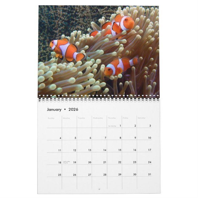 Calendario Fotos submarinas 2015 (Jan 2026)
