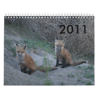 Calendario Fox 2011