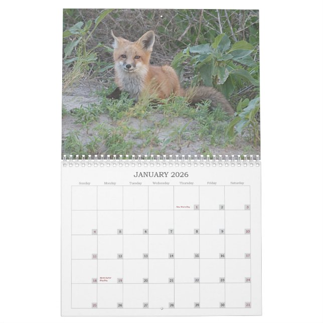Calendario Fox 2011 (Jan 2026)