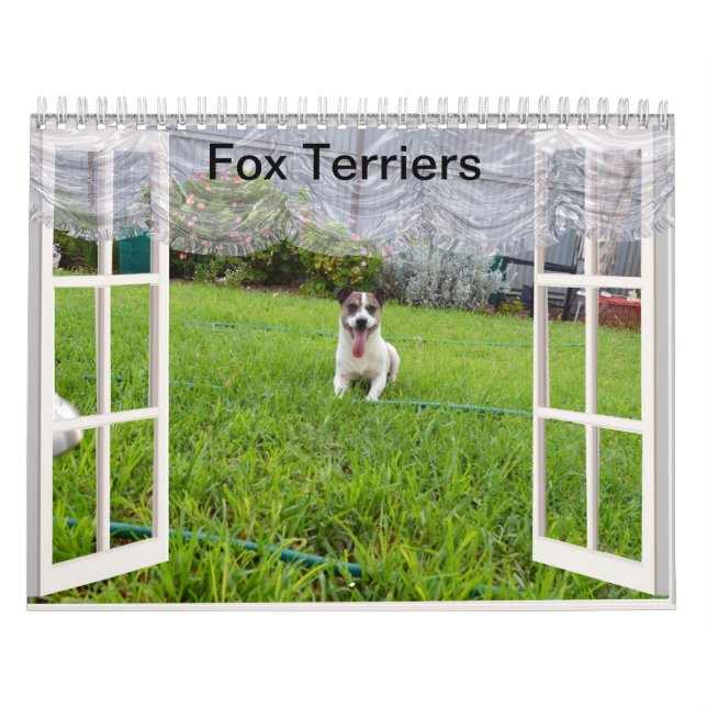 Calendario Fox Terrier Come Play, Calendar (Tapa)