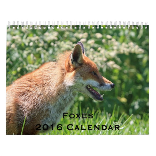 Calendario Foxes 2016 (Tapa)