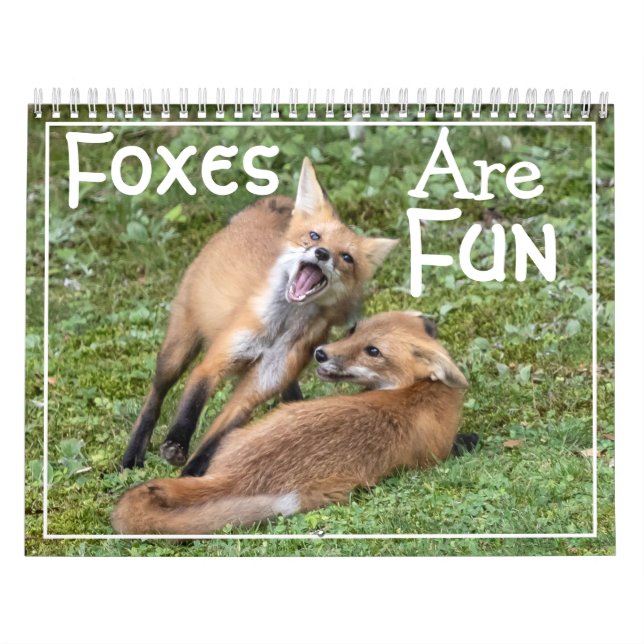 Calendario Foxes Are Fun Calendar (Tapa)