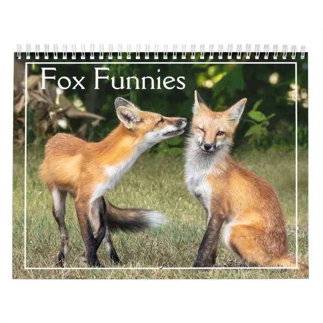 Calendario Foxes Funnies Calendar (Tapa)