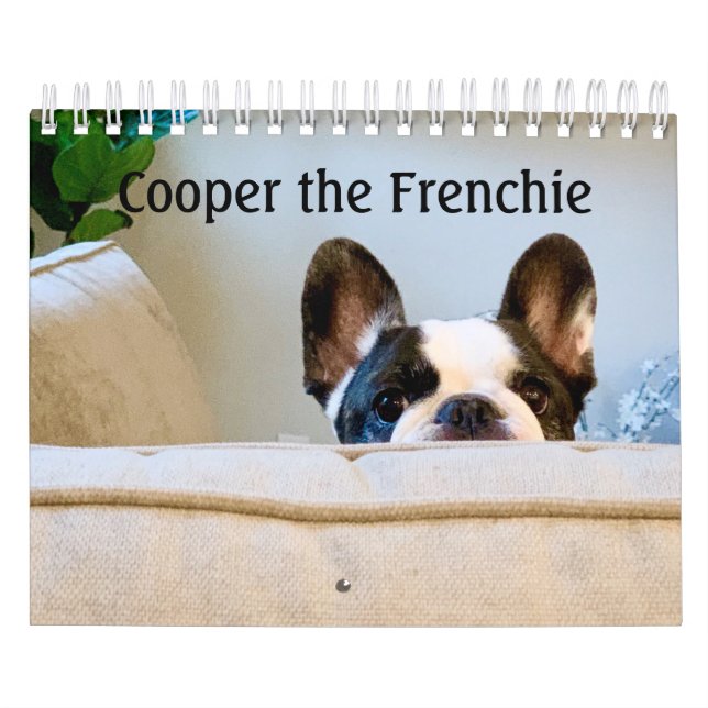 Calendario francés de Bulldoges 2020 - Cooper the  (Tapa)