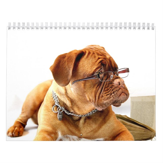 Calendario Francés Mastiff Dogue de Bordeaux Calendar (Tapa)