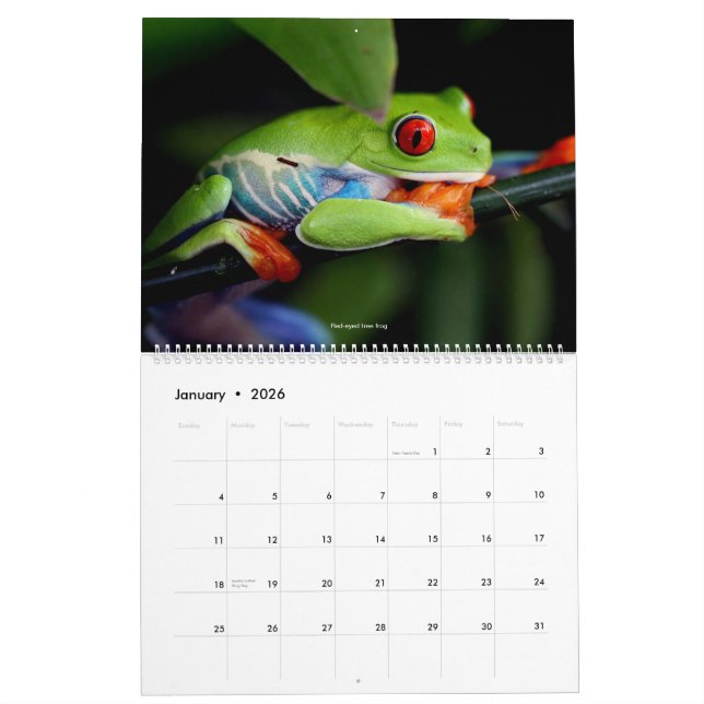 Calendario fresco de las ranas (Jan 2026)