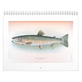Calendario fresco y de los peces de agua salada