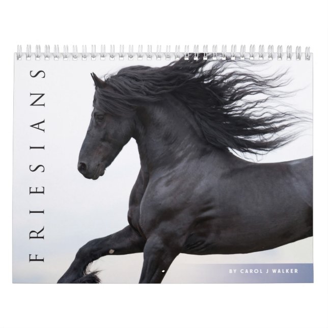 Calendario Friesiano de Caballos (Tapa)