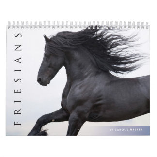Calendario Friesiano de Caballos