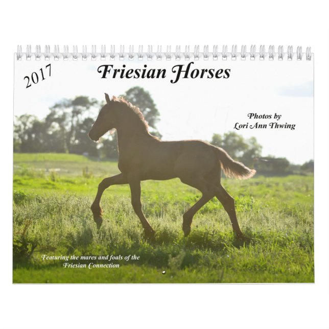 Calendario frisio del caballo (Tapa)