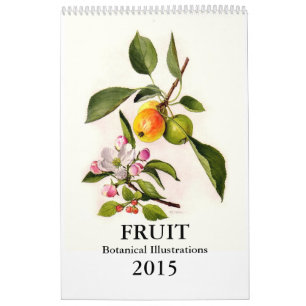 Calendario Fruta 2015