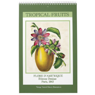 Calendario Frutas tropicales botánicas vintage 2025