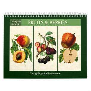 Calendario Frutas y Bayas Botánico Vintage 2027