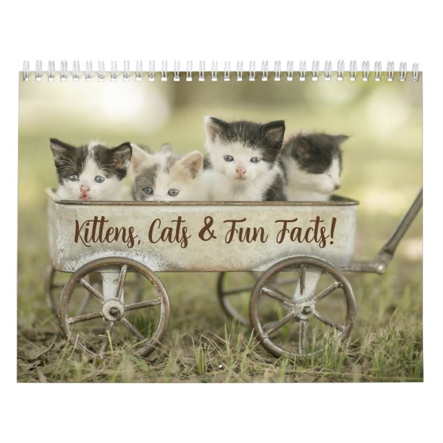 Calendario Fun Facts Kitten Cat Calendar (Tapa)