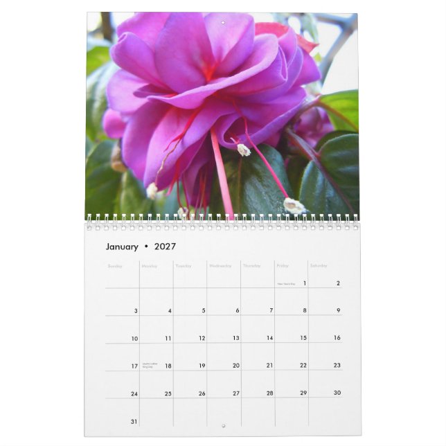 Calendario Fuschias (Jan 2027)