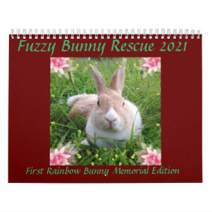 Calendario Fuzoso Rescate Bunny 2021