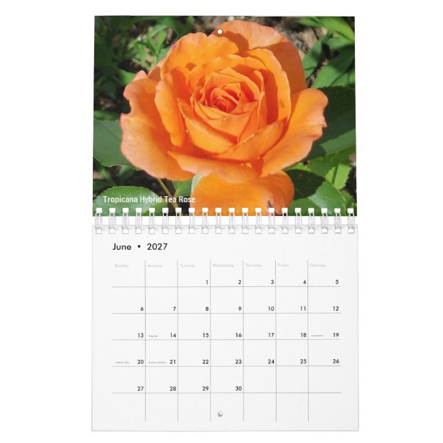 Calendario Gabby the Gardener 2021 (Jun 2027)