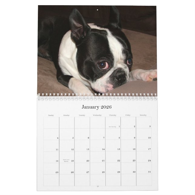 Calendario Gaitero y Pinocchio 2009 (Jan 2026)