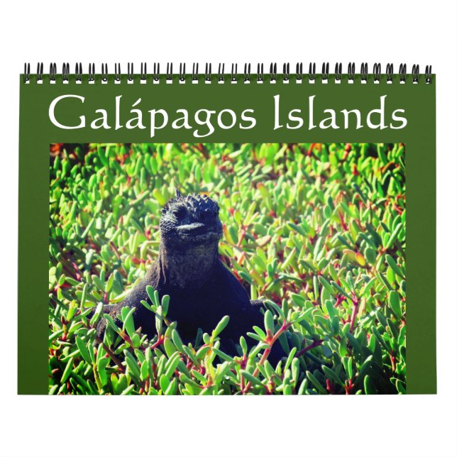 Calendario galápagos 2025 (Tapa)