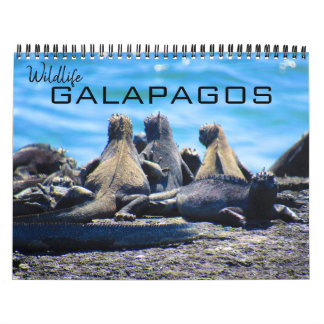 Calendario galápagos de fauna silvestre 2025