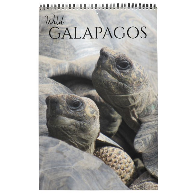 Calendario galápagos salvajes 2025 (Tapa)