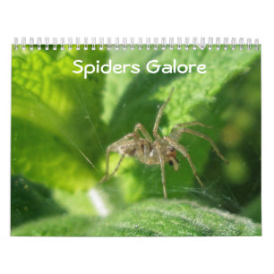 Calendario - Galería de arañas
