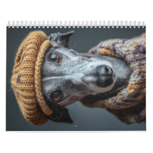 Calendario Galgo