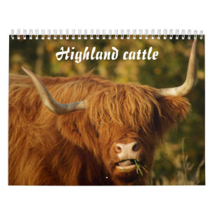 Calendario Ganado de Escocia