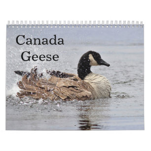 Calendario Gansos de Canadá