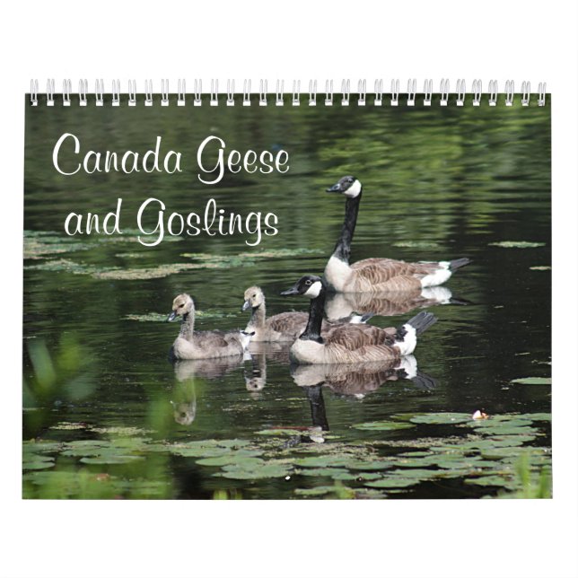 Calendario Gansos y ansarones de Canadá (Tapa)