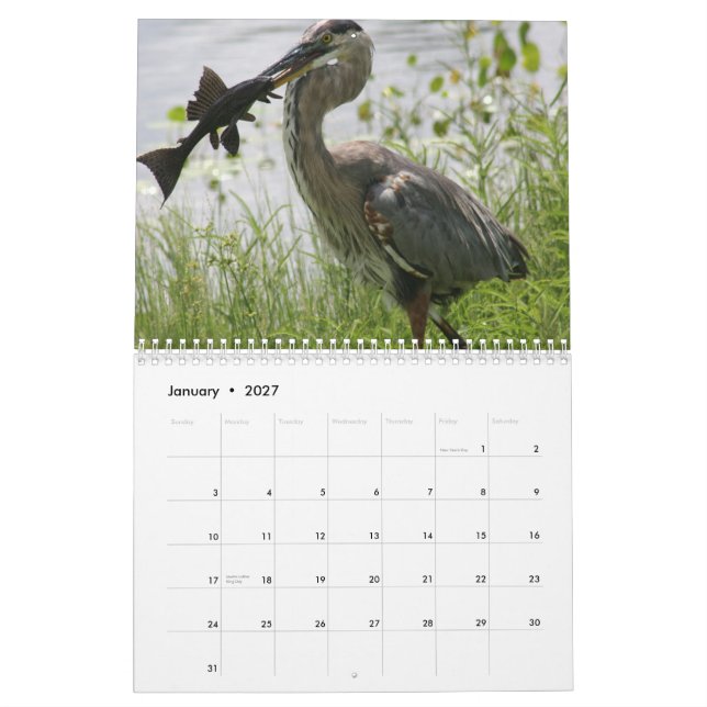 CALENDARIO GARZA DE GRAN AZUL (Jan 2027)