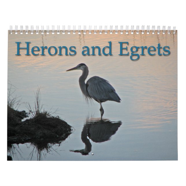Calendario Garzas y Egrets (Tapa)
