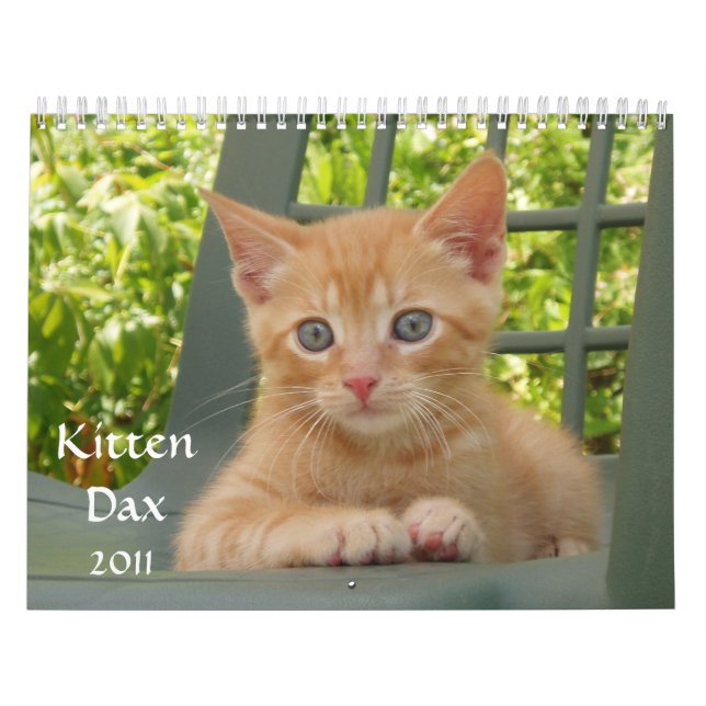Calendario Gatito Dax 2011 (Tapa)