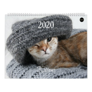 Calendario Gatito HAMbyWG