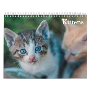 Calendario Gatitos Adorables 2027
